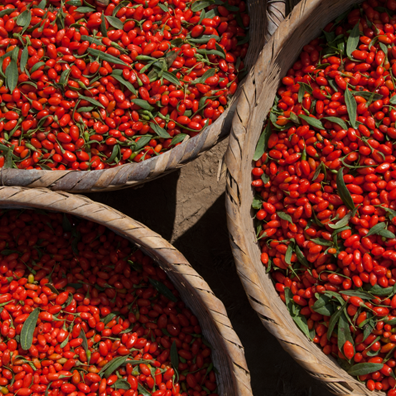 
                  
                    Organic Goji Wolf Berries 11lbs Bulk package
                  
                